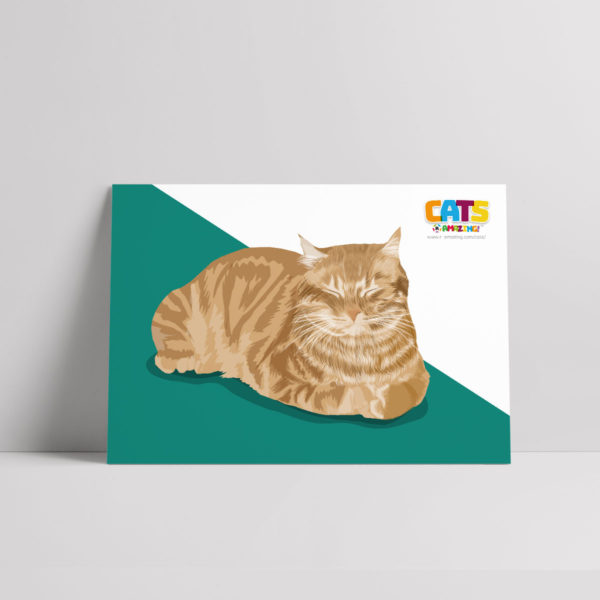 Cats R Amazing Poster - Blind Kitten