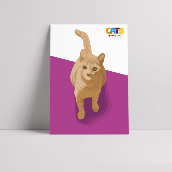 Cats R Amazing Poster - Ginger Cat