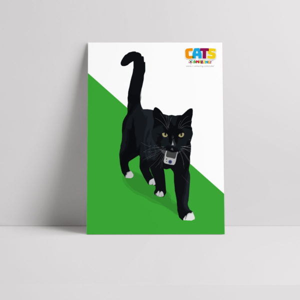 Cats R Amazing Poster - Secret Cat
