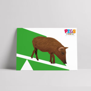 Clever Pigs R Amazing Poster