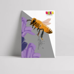 History of bees poster