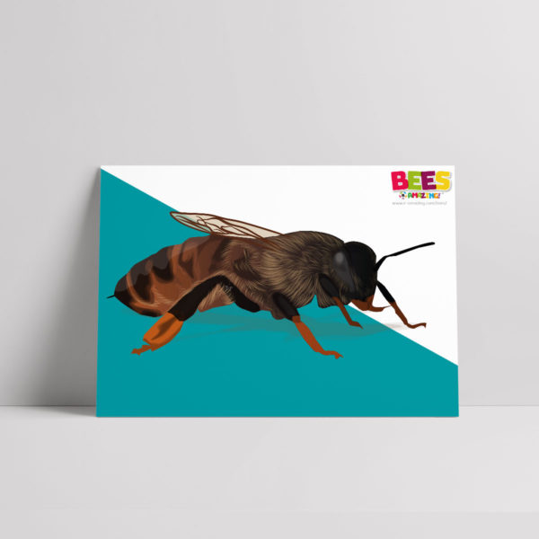 Queen bee poster