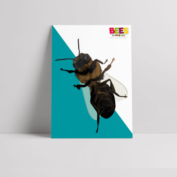 Dead Bee Poster
