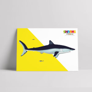 Shark Giving Birth Poster
