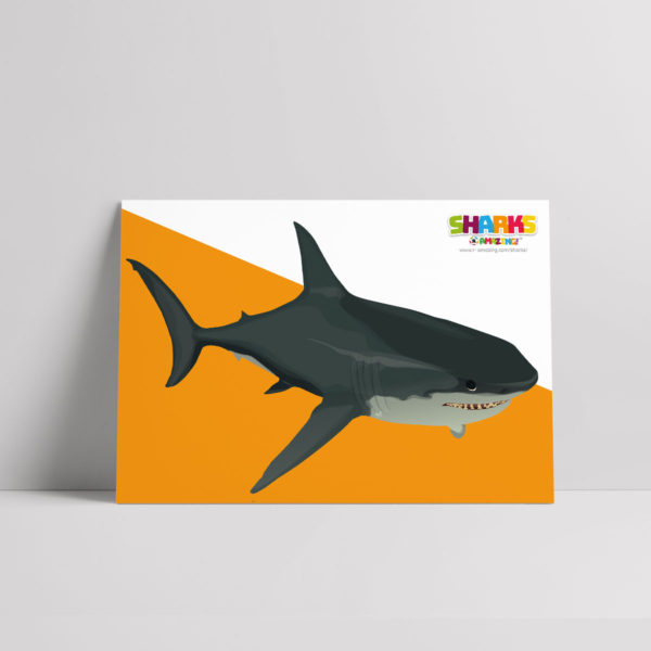How Old is a Shark Poster