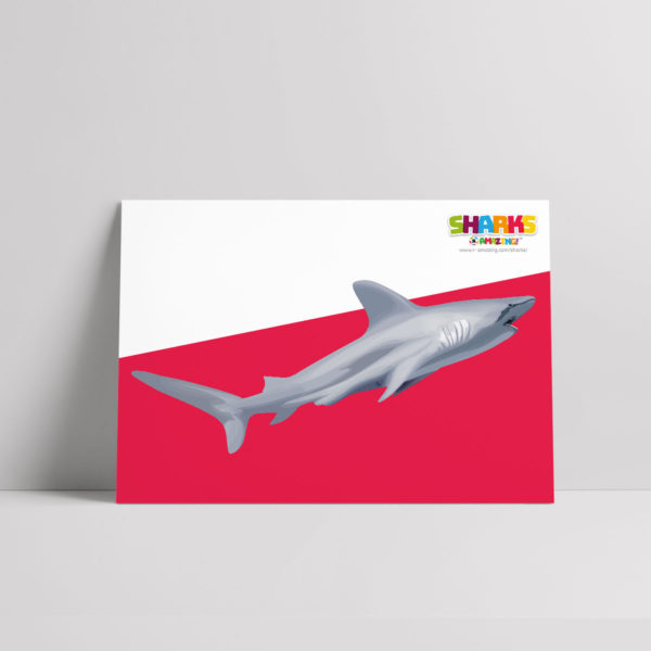 Shark Swimming Poster