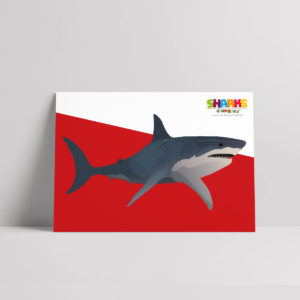 Shark Tagging Poster