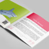 Sharks R Amazing! Inside Pages