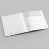 Sharks R Amazing! Inside Pages