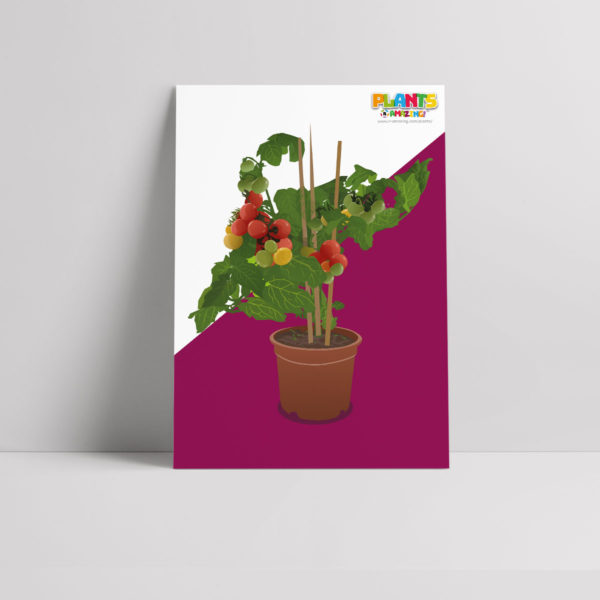 Plants R Amazing! - Communication Poster